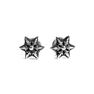Cut out Star Earring